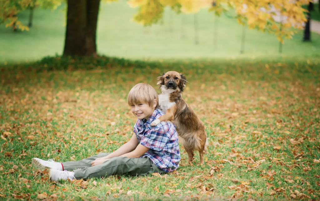Les enfants et les animaux familiers : un rapport particulier (Arielle Adda pour le Journal des Femmes, octobre 2025)